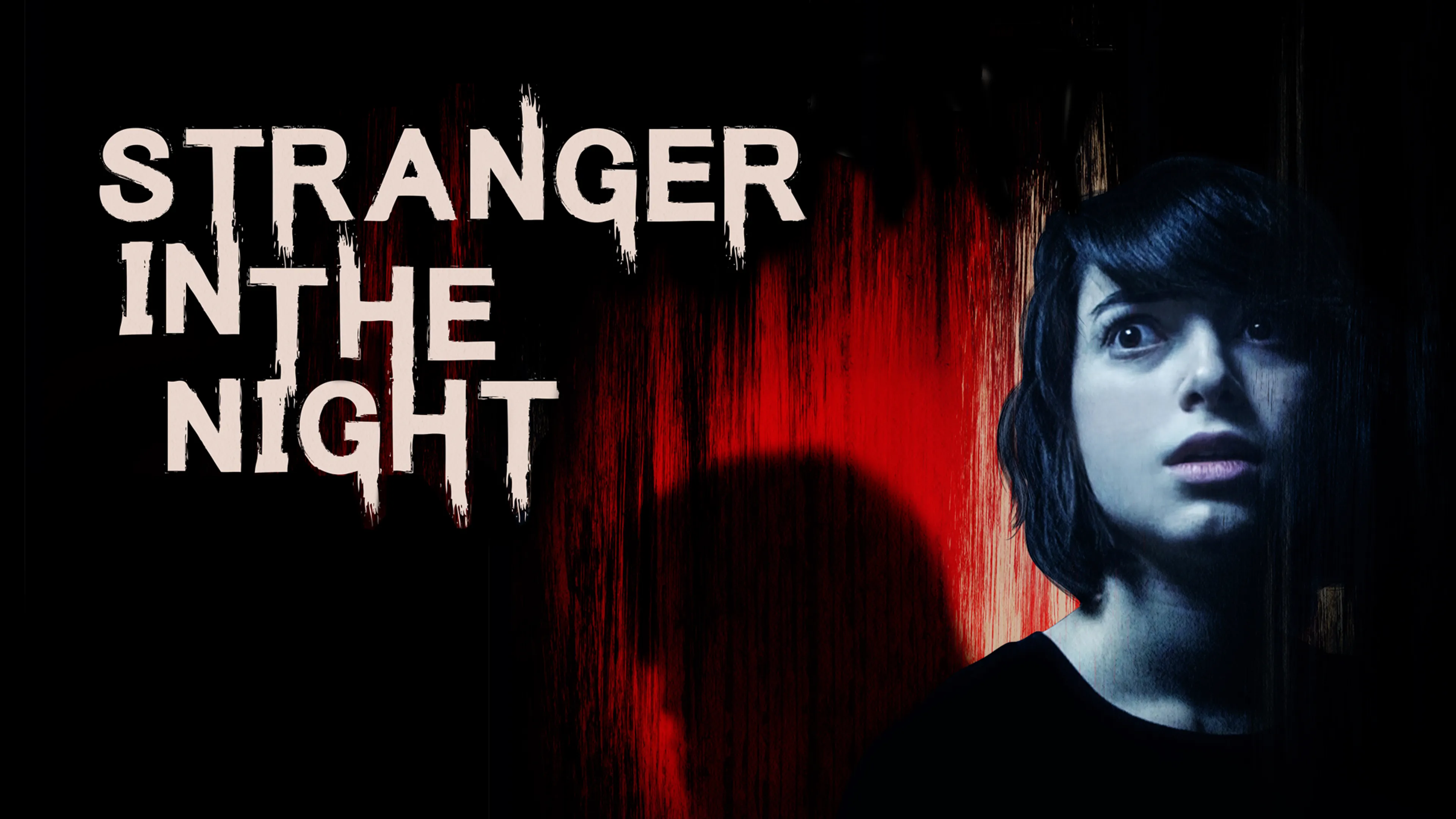 Stranger in the Night poster